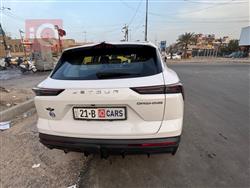 جيتور داشينج